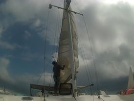 Catamaran tour - Bocas del Toro