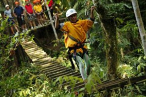 person ziplining through forest canopy