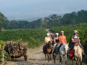 Students enjoying a horseback tour in the surroundings of Turrialba.