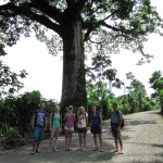 Group hiking through costa rican forest