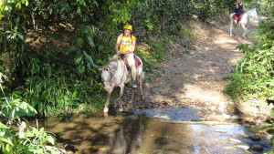 Horseback rider crossing stream