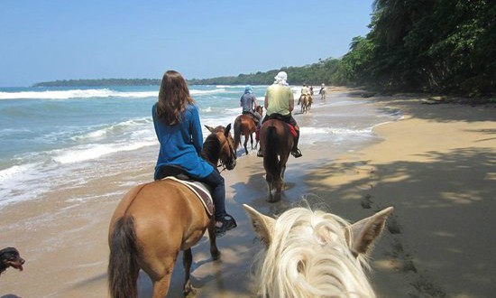 Volunteers at the Caribe Horse Riding Club