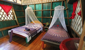 Colored room with two beds with mosquito nets